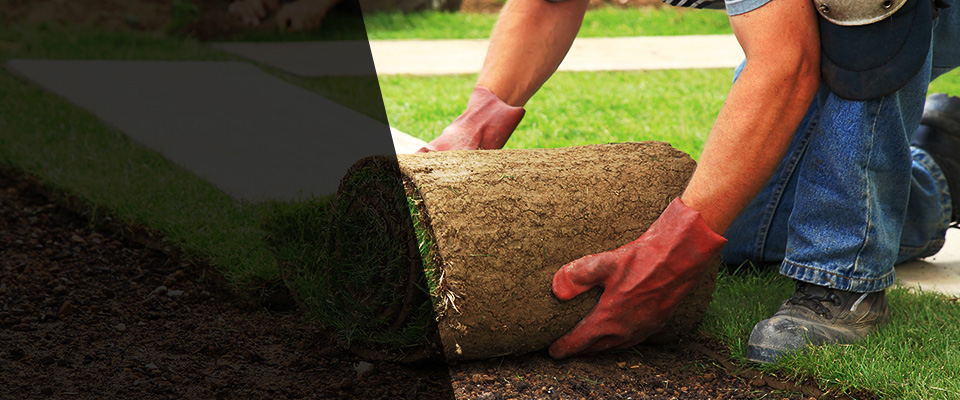 Lake Placid Landscapers